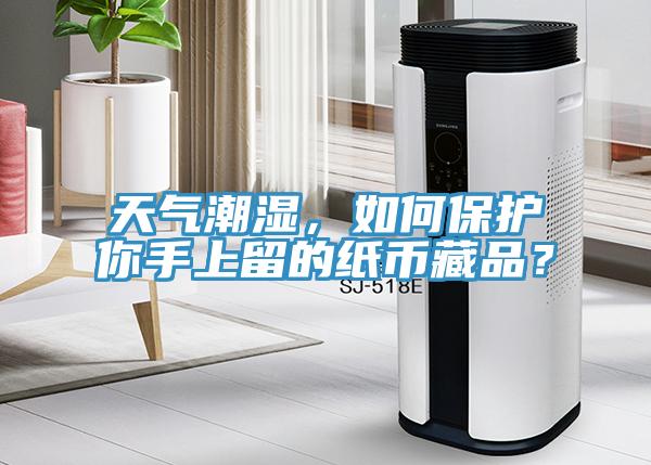 天气潮湿，如何保护你手上留的纸币藏品？