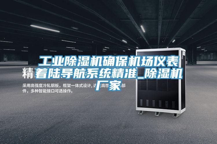 工业辣椒视频APP下载并安装确保机场仪表着陆导航系统精准_辣椒视频APP下载并安装厂家
