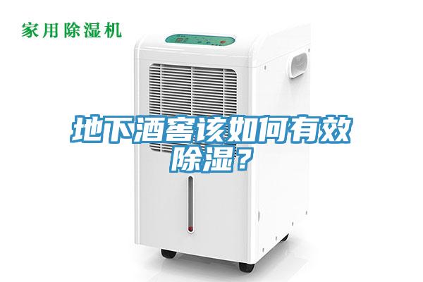 地下酒窖该如何有效除湿？