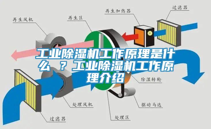 工业辣椒视频APP下载并安装工作原理是什么 ？工业辣椒视频APP下载并安装工作原理介绍