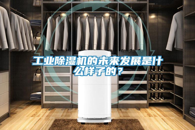 工业辣椒视频APP下载并安装的未来发展是什么样子的？