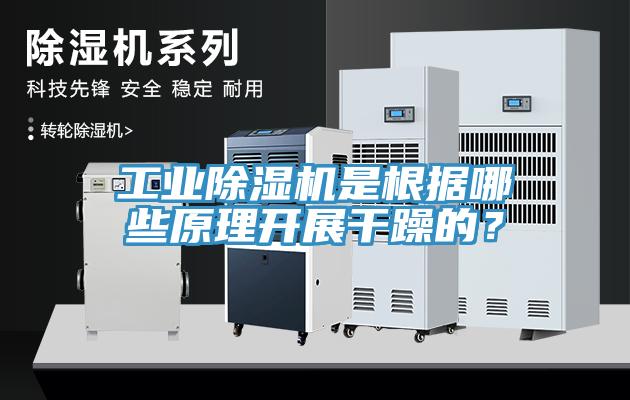 工业辣椒视频APP下载并安装是根据哪些原理开展干躁的？