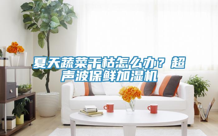 夏天蔬菜干枯怎么办？超声波保鲜加湿机