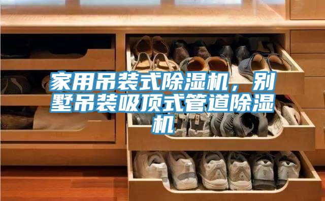家用吊装式辣椒视频APP下载并安装，别墅吊装吸顶式管道辣椒视频APP下载并安装