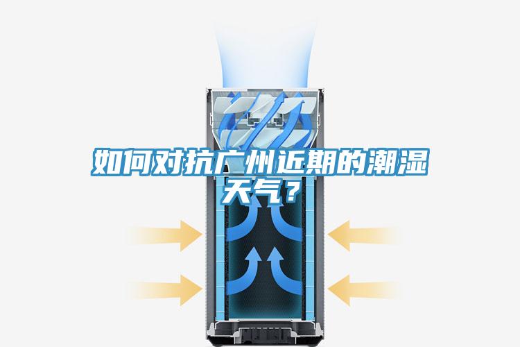 如何对抗广州近期的潮湿天气？