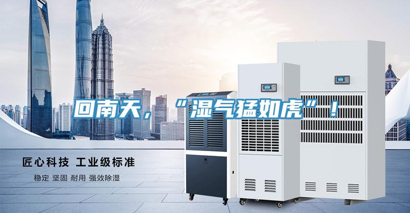 回南天，“湿气猛如虎”！