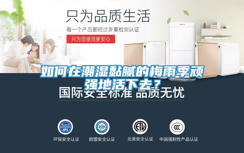 如何在潮湿黏腻的梅雨季顽强地活下去？