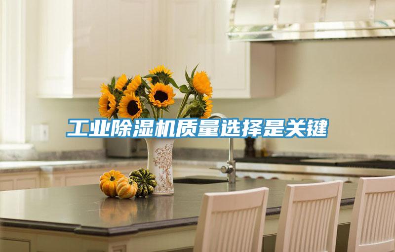 工业辣椒视频APP下载并安装质量选择是关键