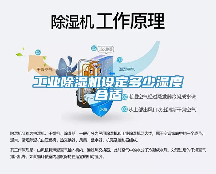 工业辣椒视频APP下载并安装设定多少湿度合适