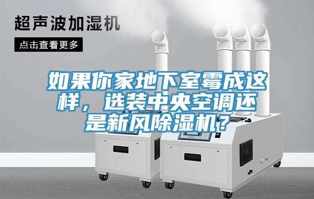 如果你家地下室霉成这样，选装中央空调还是新风辣椒视频APP下载并安装？