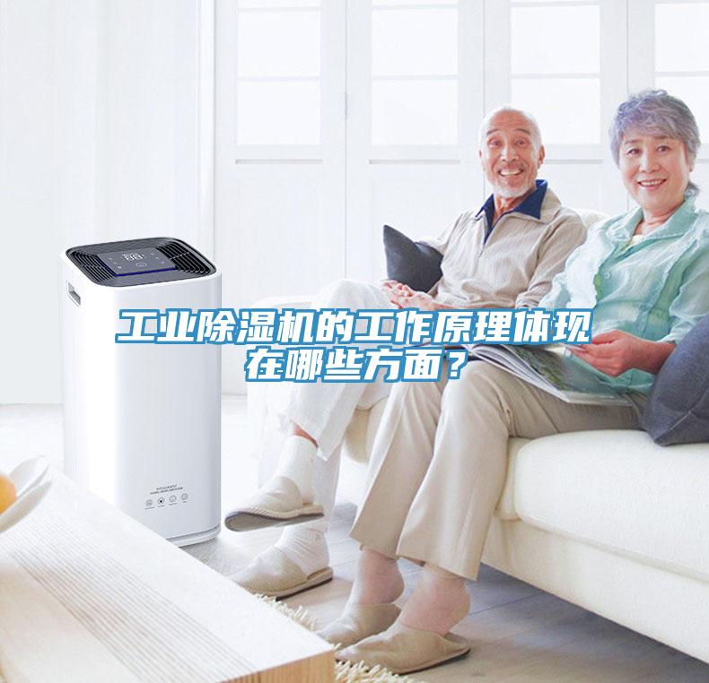 工业辣椒视频APP下载并安装的工作原理体现在哪些方面？