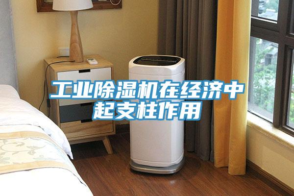 工业辣椒视频APP下载并安装在经济中起支柱作用