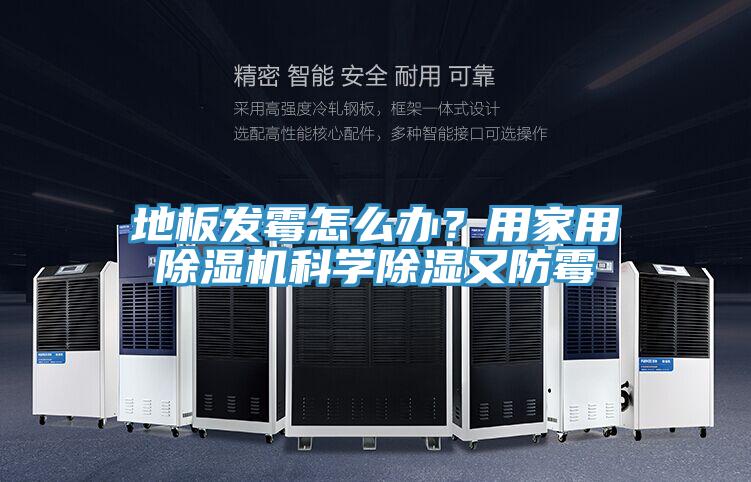 地板发霉怎么办？用家用辣椒视频APP下载并安装科学除湿又防霉