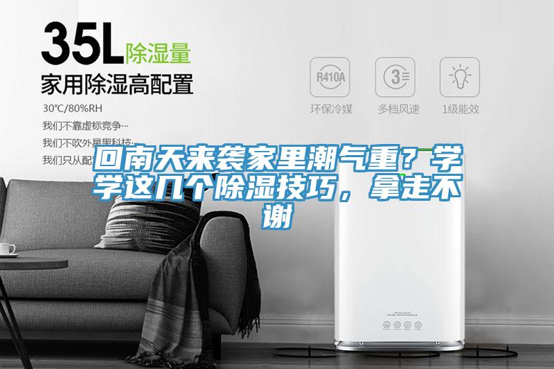 回南天来袭家里潮气重？学学这几个除湿技巧，拿走不谢