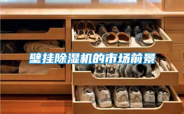 壁挂辣椒视频APP下载并安装的市场前景