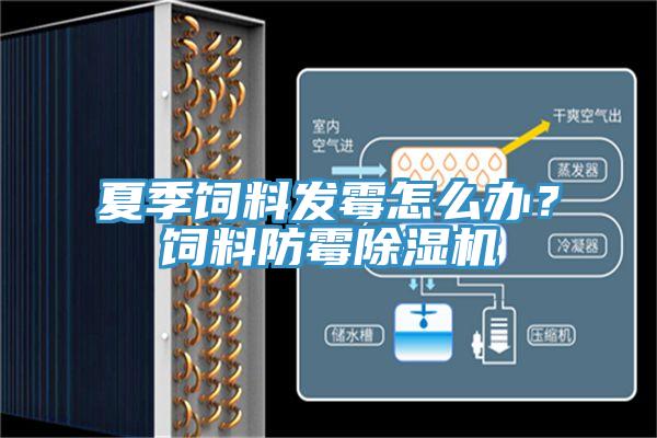 夏季饲料发霉怎么办？饲料防霉辣椒视频APP下载并安装