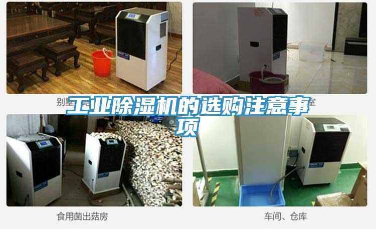 工业辣椒视频APP下载并安装的选购注意事项