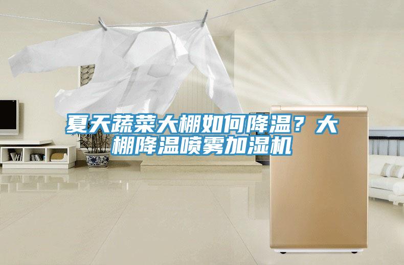 夏天蔬菜大棚如何降温？大棚降温喷雾加湿机