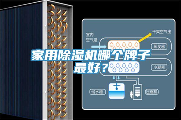 家用辣椒视频APP下载并安装哪个牌子最好？