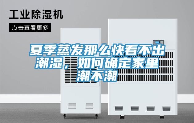 夏季蒸发那么快看不出潮湿，如何确定家里潮不潮