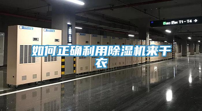 如何正确利用辣椒视频APP下载并安装来干衣