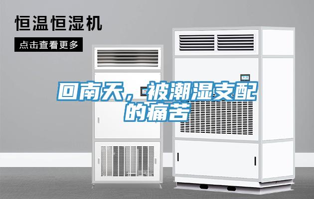回南天，被潮湿支配的痛苦