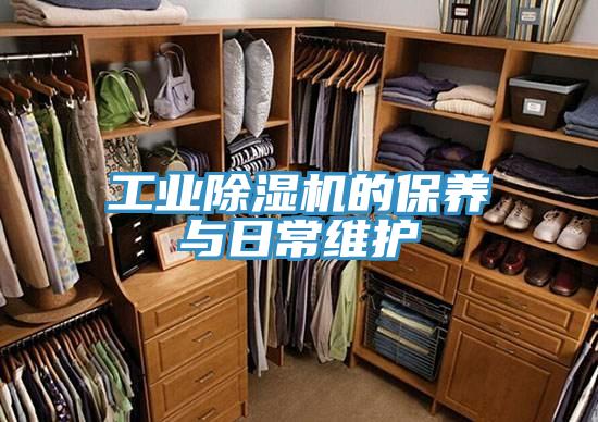 工业辣椒视频APP下载并安装的保养与日常维护