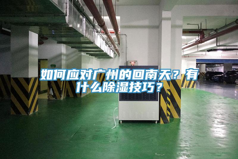 如何应对广州的回南天？有什么除湿技巧？