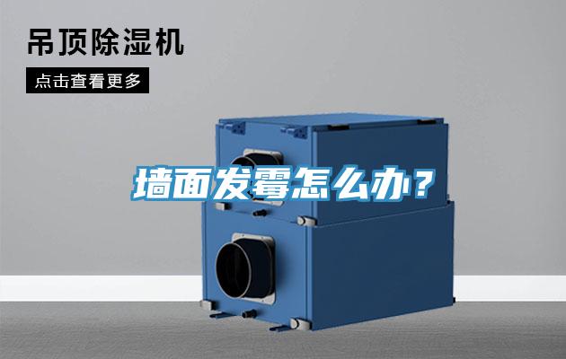 墙面发霉怎么办？