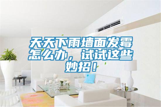 天天下雨墙面发霉怎么办，试试这些妙招！
