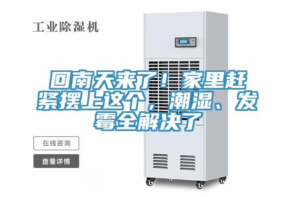 回南天来了！家里赶紧摆上这个，潮湿、发霉全解决了