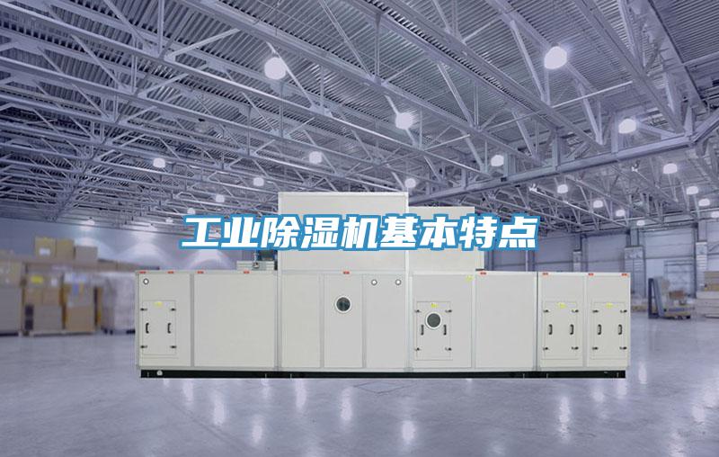工业辣椒视频APP下载并安装基本特点