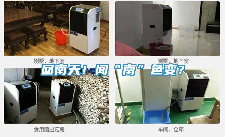 回南天！闻“南”色变？