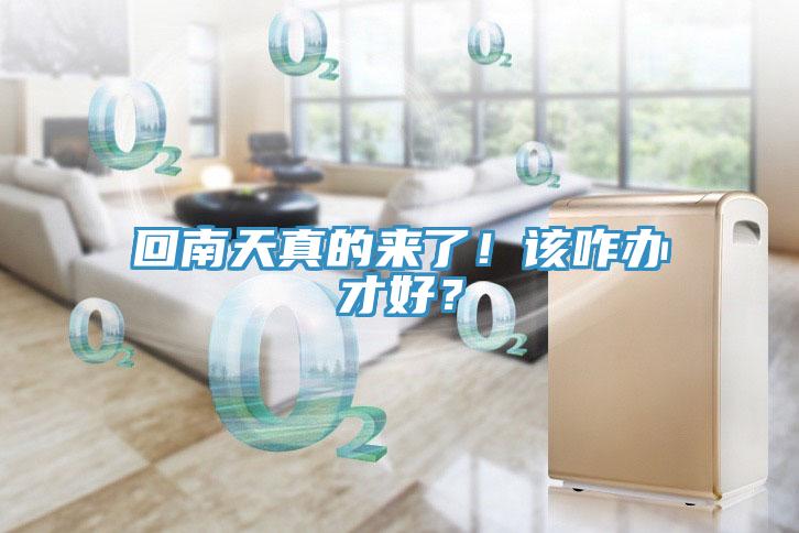 回南天真的来了！该咋办才好？