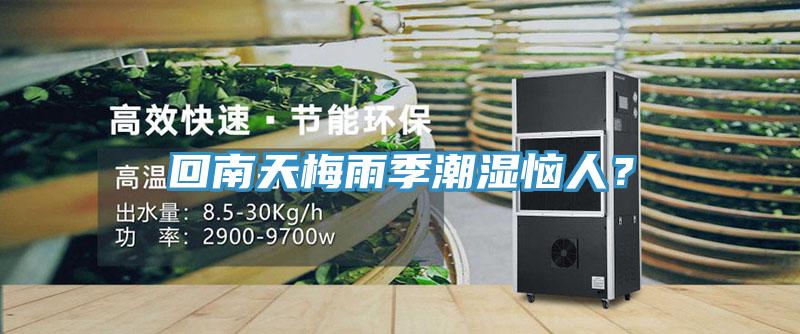 回南天梅雨季潮湿恼人？