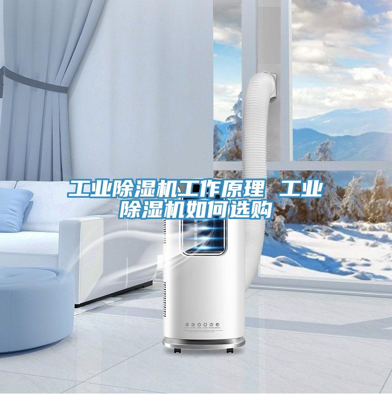 工业辣椒视频APP下载并安装工作原理 工业辣椒视频APP下载并安装如何选购