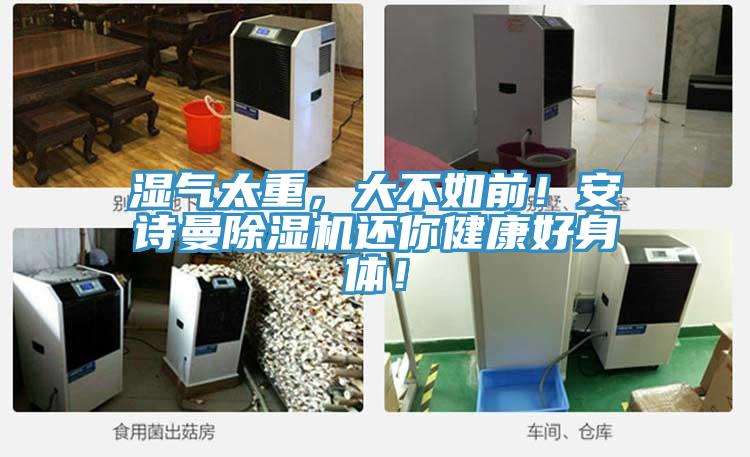 湿气太重，大不如前！辣椒视频软件辣椒视频APP下载并安装还你健康好身体！