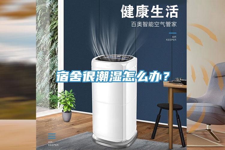 宿舍很潮湿怎么办？