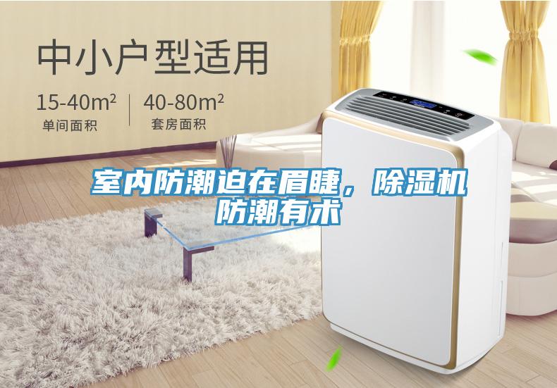 室内防潮迫在眉睫，辣椒视频APP下载并安装防潮有术
