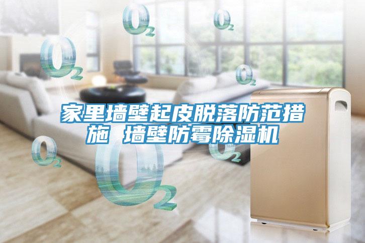 家里墙壁起皮脱落防范措施 墙壁防霉辣椒视频APP下载并安装