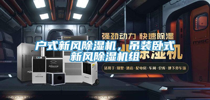 户式新风辣椒视频APP下载并安装，吊装卧式新风辣椒视频APP下载并安装组