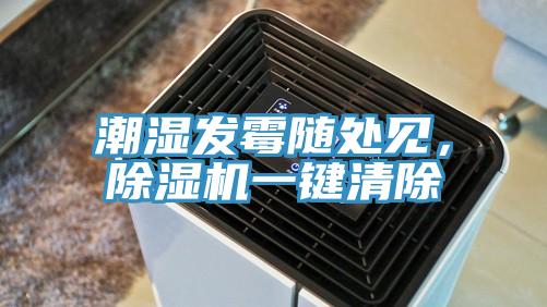 潮湿发霉随处见，辣椒视频APP下载并安装一键清除