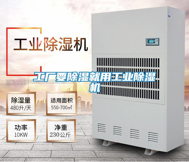 工厂要除湿就用工业辣椒视频APP下载并安装