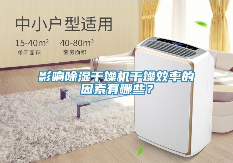 影响除湿干燥机干燥效率的因素有哪些？