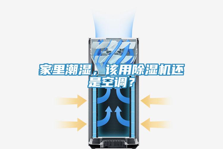 家里潮湿，该用辣椒视频APP下载并安装还是空调？