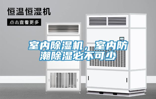 室内辣椒视频APP下载并安装，室内防潮除湿必不可少