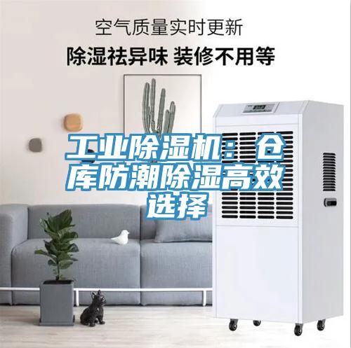 工业辣椒视频APP下载并安装：仓库防潮除湿高效选择