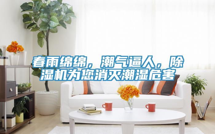 春雨绵绵，潮气逼人，辣椒视频APP下载并安装为您消灭潮湿危害