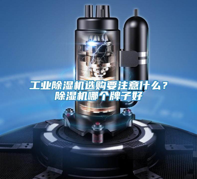工业辣椒视频APP下载并安装选购要注意什么？辣椒视频APP下载并安装哪个牌子好