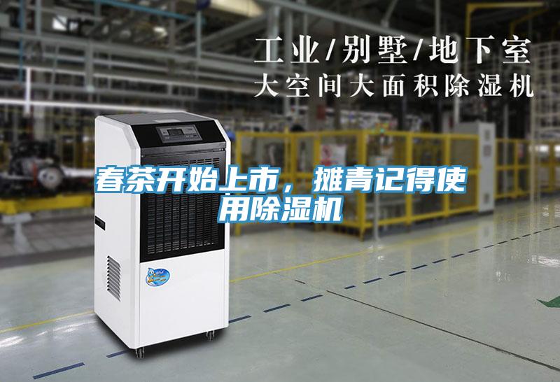 春茶开始上市，摊青记得使用辣椒视频APP下载并安装